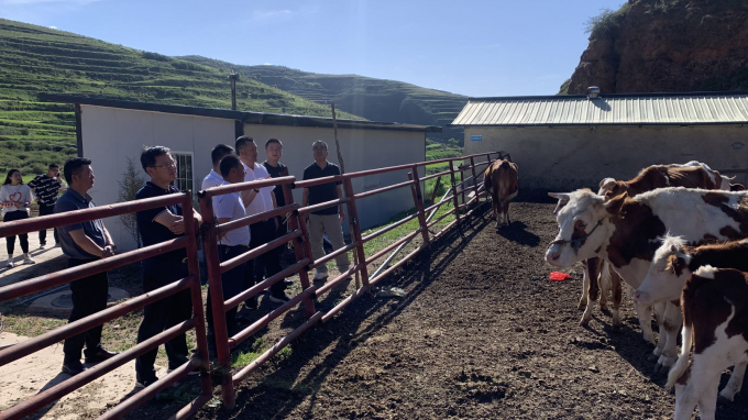 甘肅工程咨詢集團(tuán)黨委書記、董事長宋忠慶一行赴卓尼縣柳林鎮(zhèn)幫扶村調(diào)研慰問