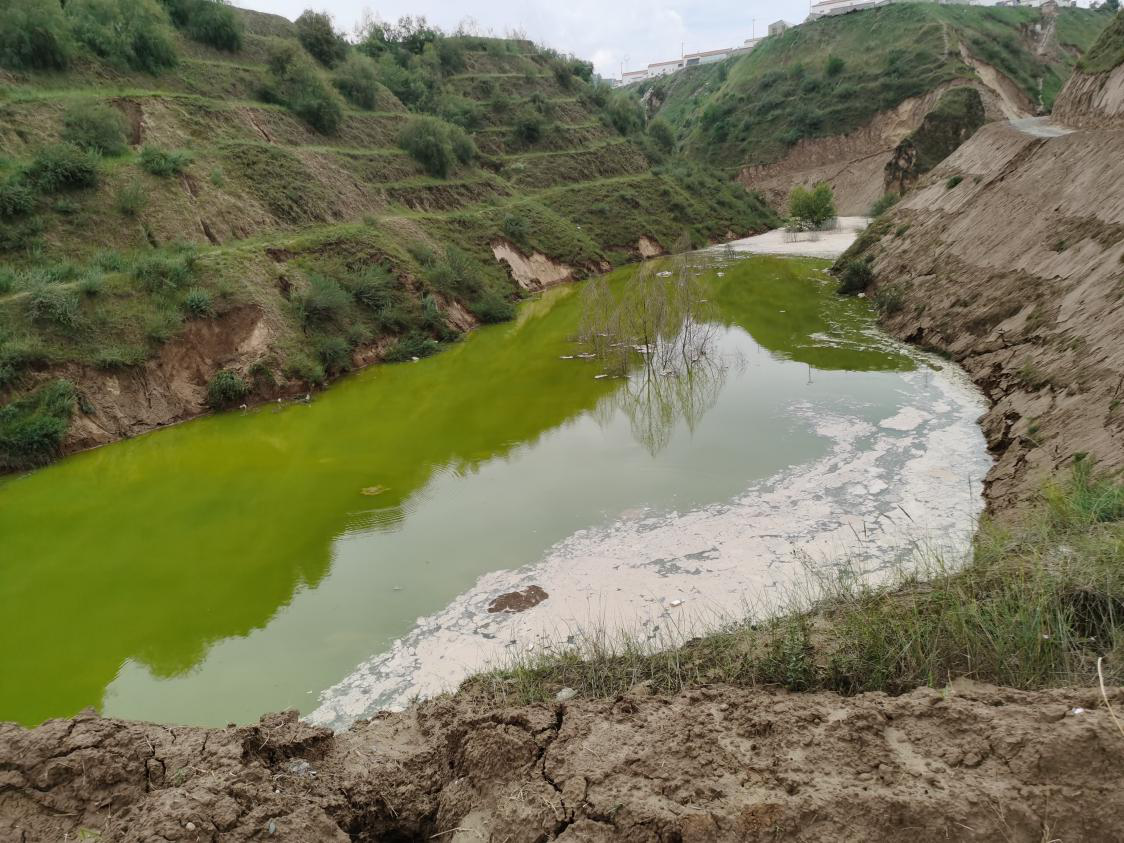 1598424296496041625.png 圖片1.png